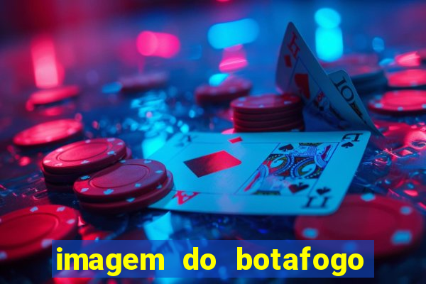 imagem do botafogo zuando o palmeiras